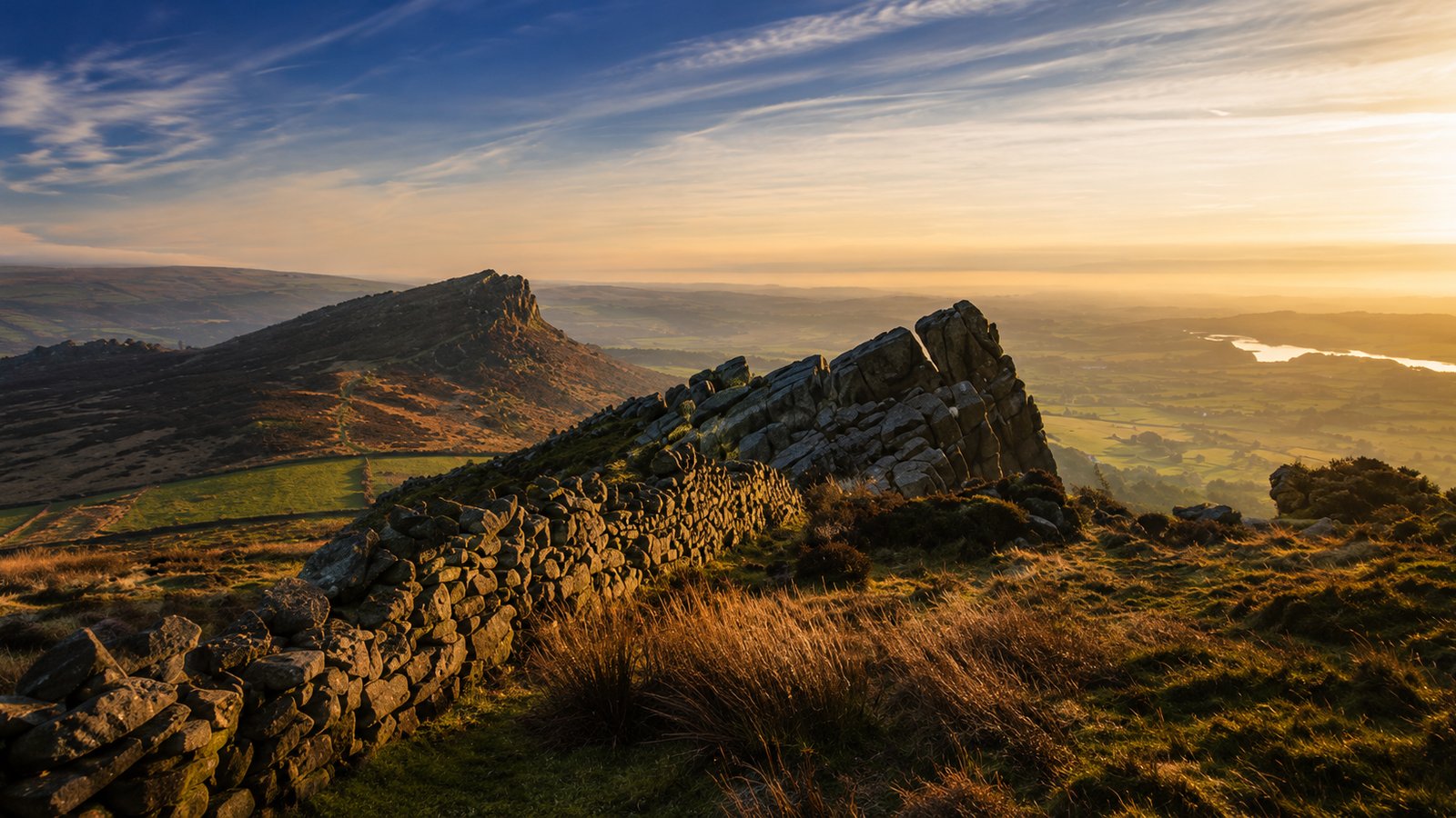 The Roaches