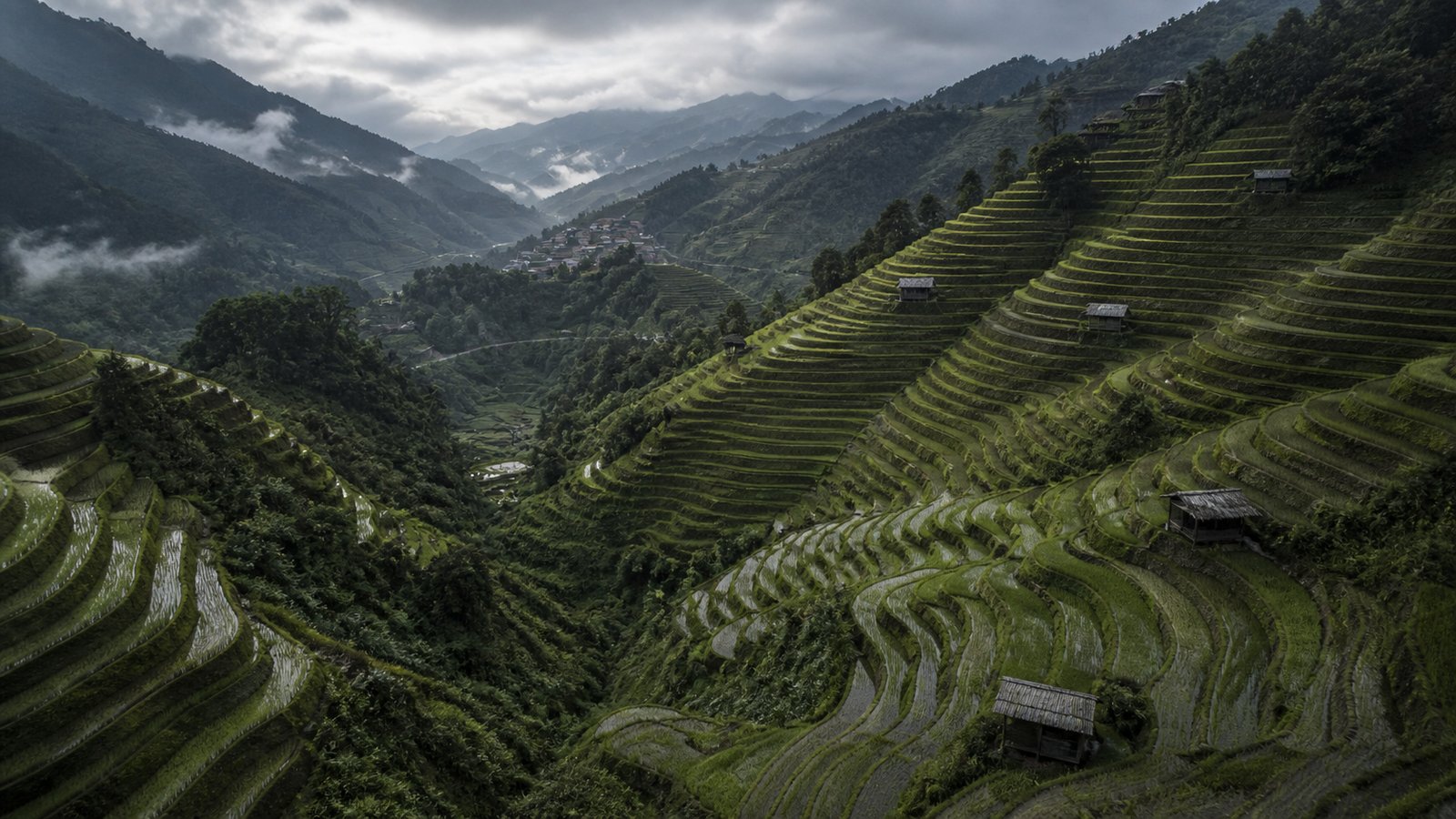 Rice Terrace Highlands