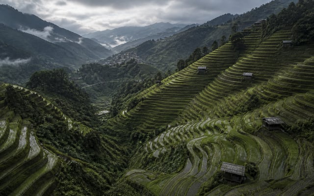 Rice Terrace Highlands
