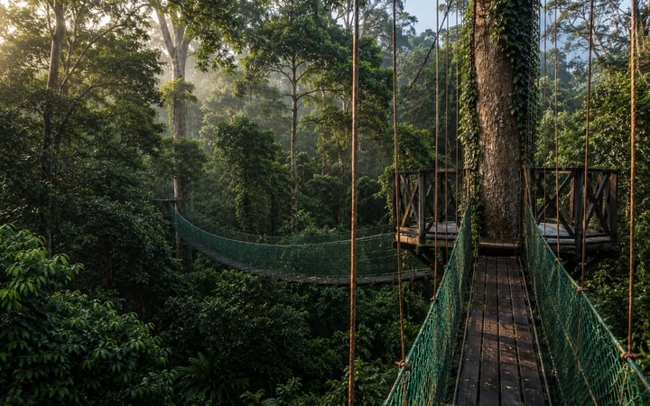 Danum Valley Field Centre
