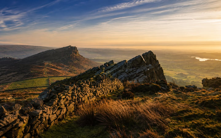 The Roaches