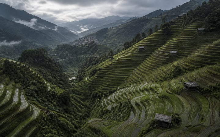 Rice Terrace Highlands